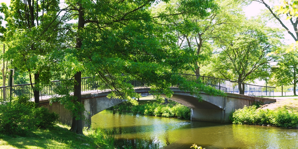 To Do in Boston The Best Outdoor Spots for Work and Play